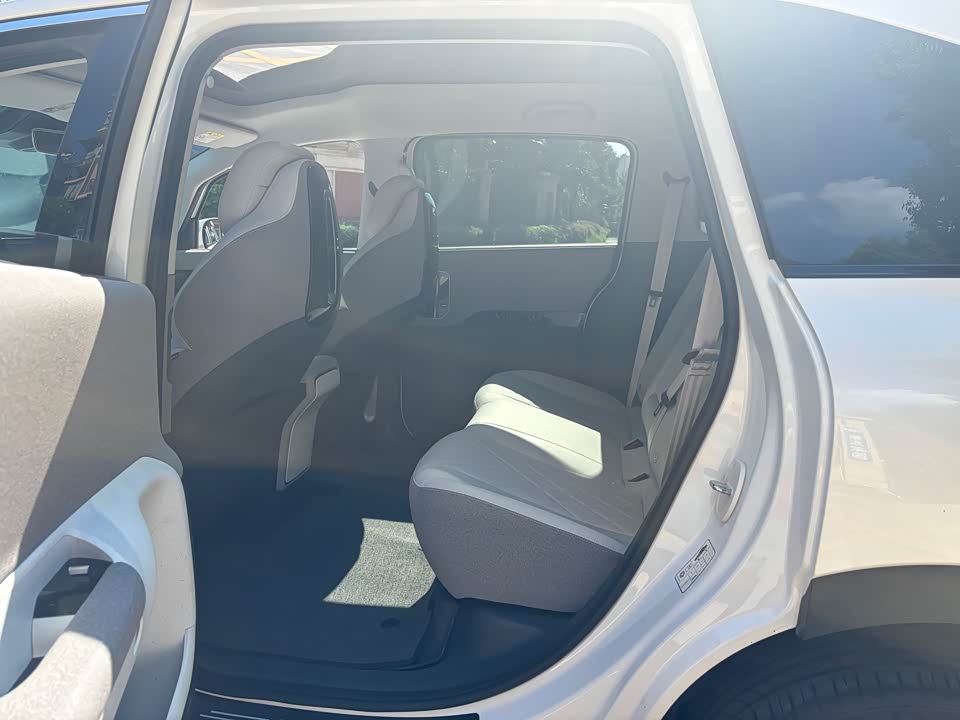 ARCFOX Polar Fox Koala S