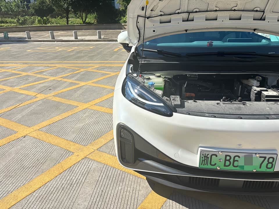 ARCFOX Polar Fox Koala S