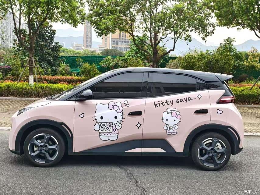 BYD Seagull, 2024 3