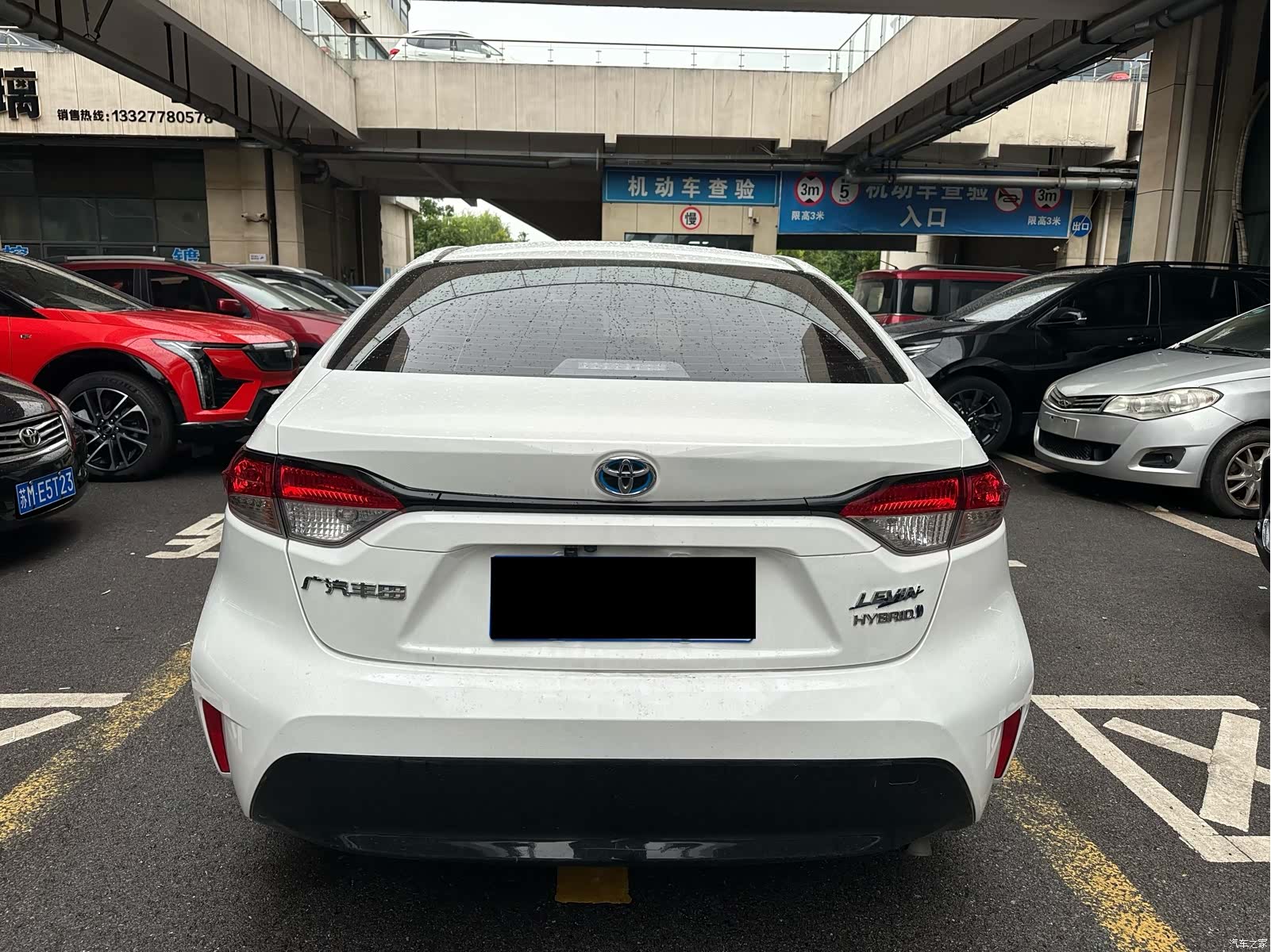 Toyota Levin, 2024 все фото