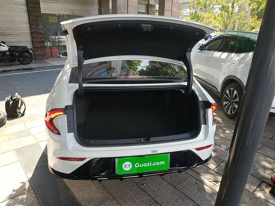 Wuling Wuling Starlight