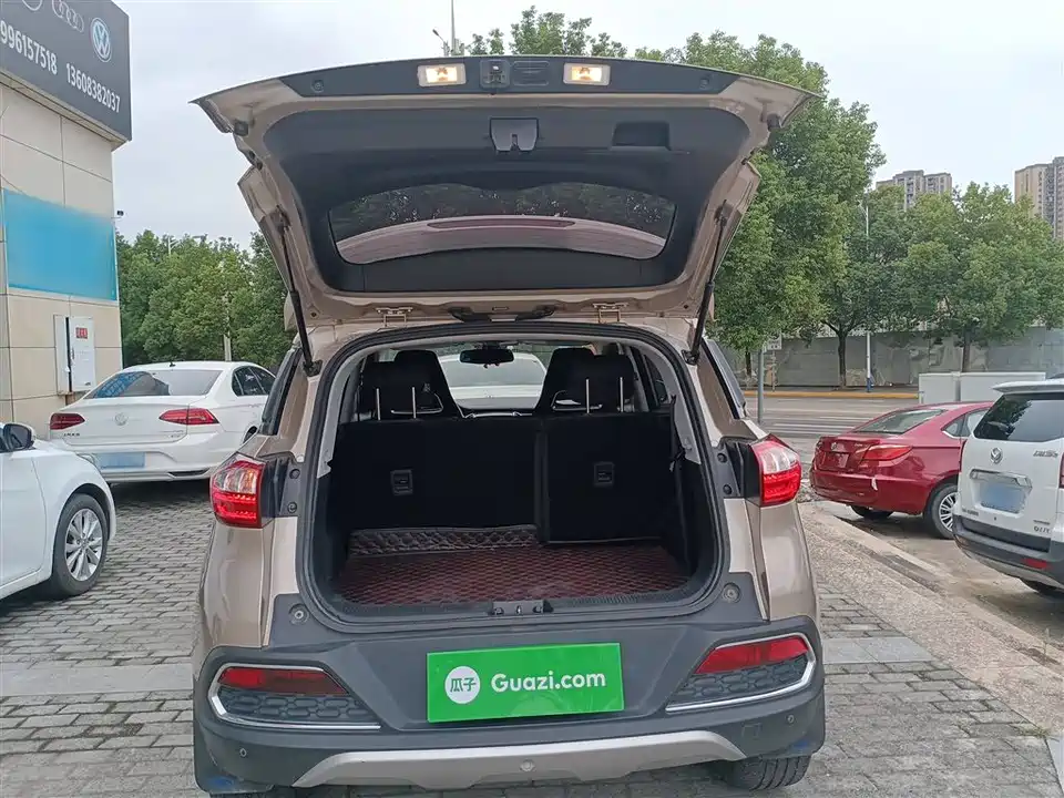 Leopaard Cheetah CS9