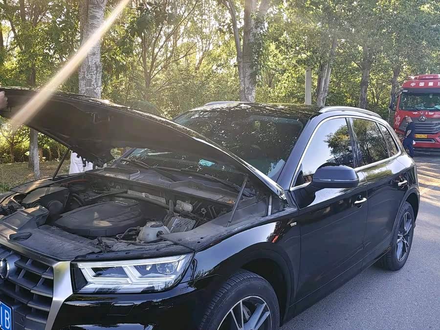 Audi Q5L 2019, фото 2