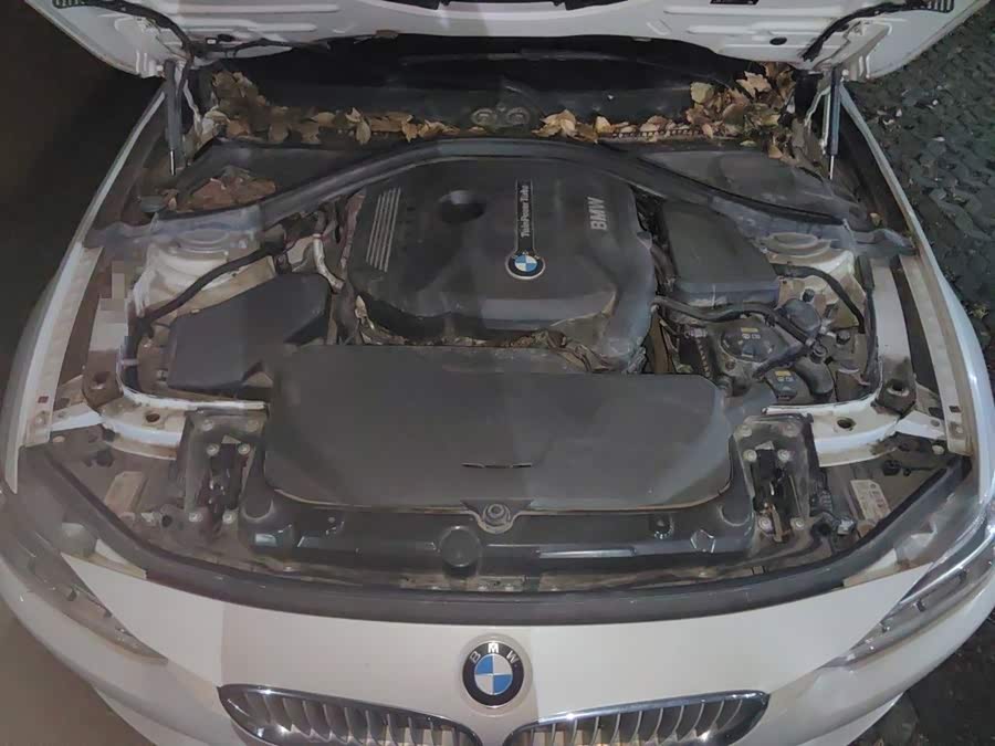 BMW 3 Series 2018, фото 10