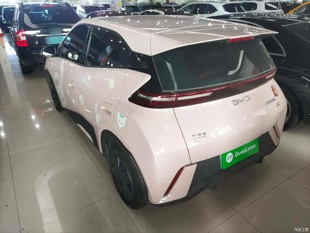 BYD Seagull, 2024 23