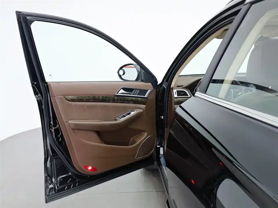 Leopaard Cheetah CS10