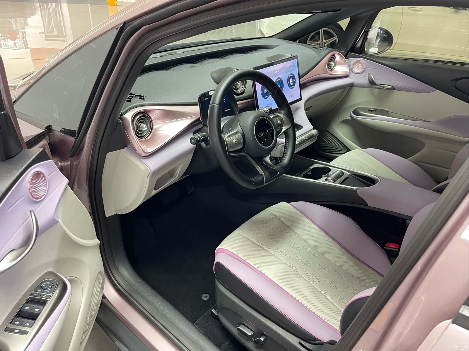 BYD Dolphin, 2024 8