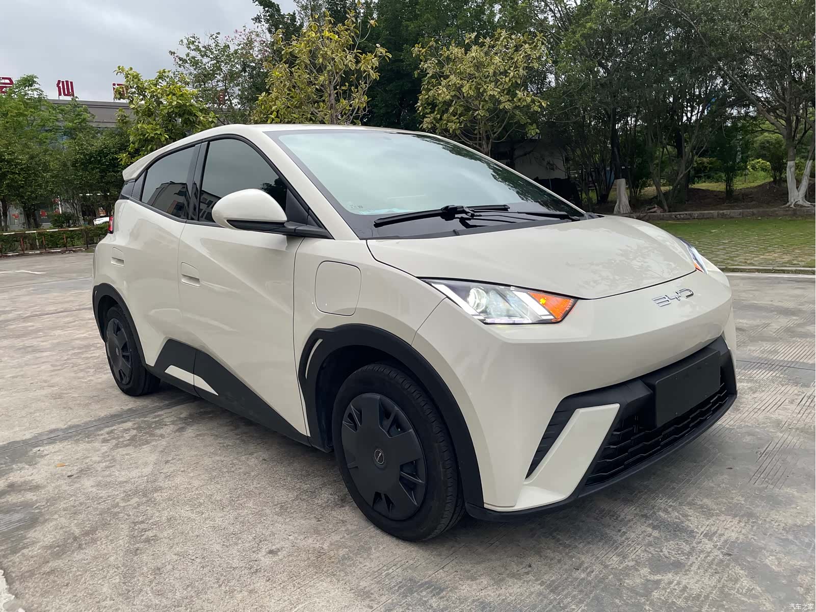 BYD Seagull, 2024 3