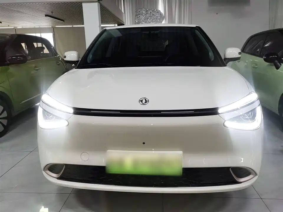 Dongfeng Nammi Nano 01