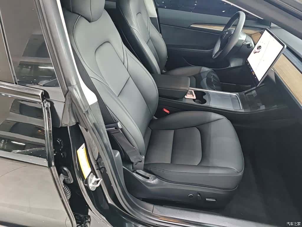 Tesla Model 3, 2021 25