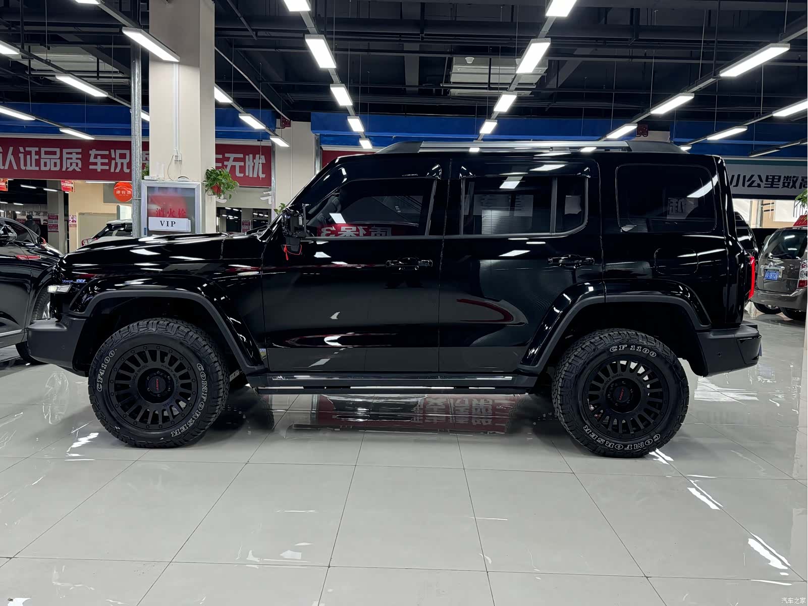 Tank 300, 2024 4