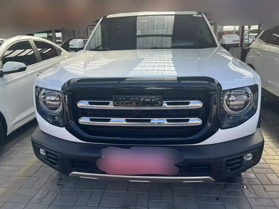 Haval Big dog