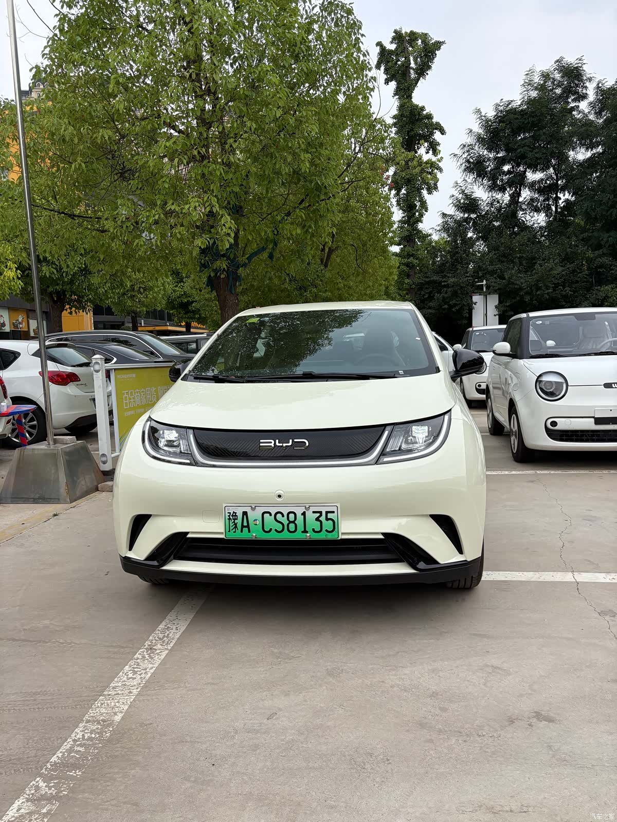 BYD Dolphin, 2026 2