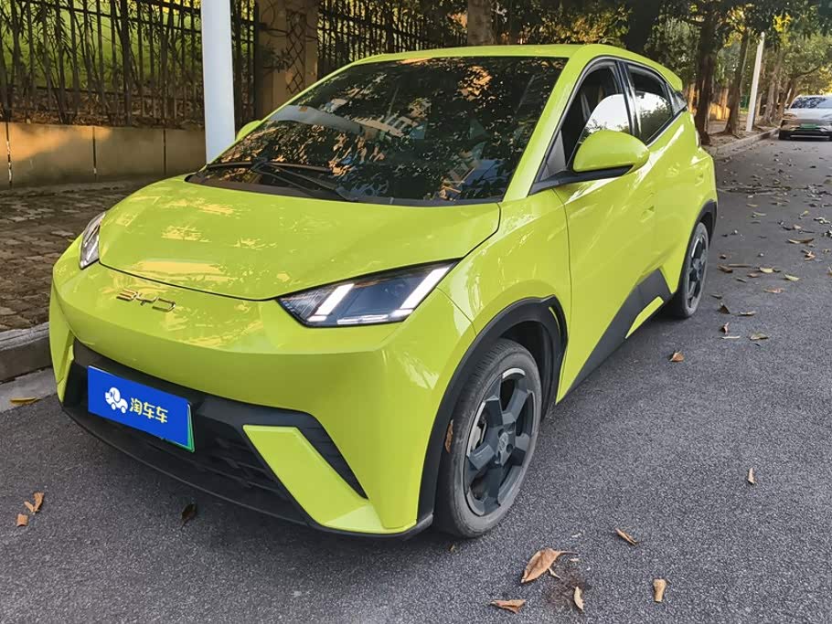 BYD Seagull