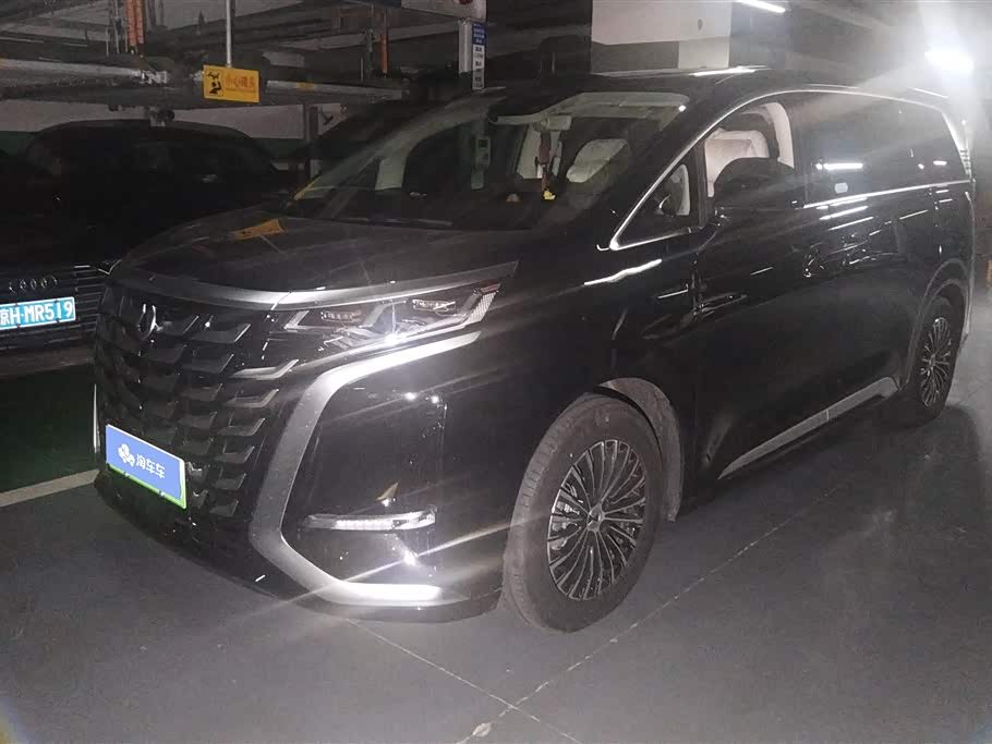 Denza D9