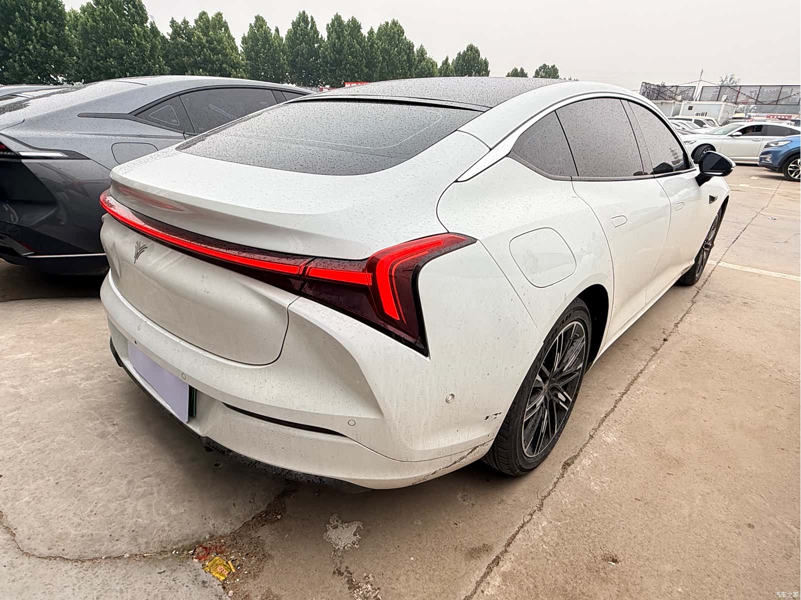 Neta S, 2023 9