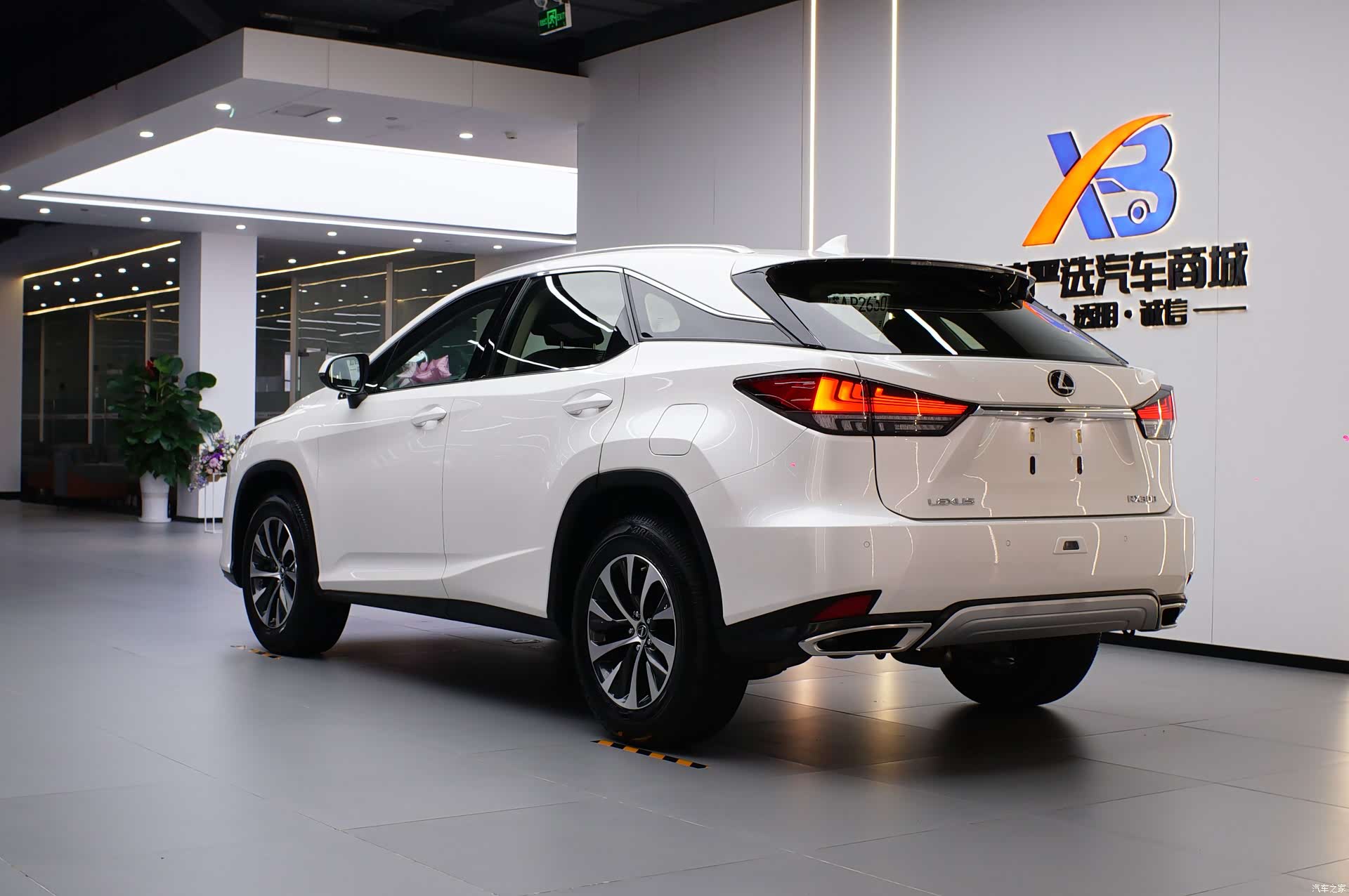 Lexus RX, 2021 все фото