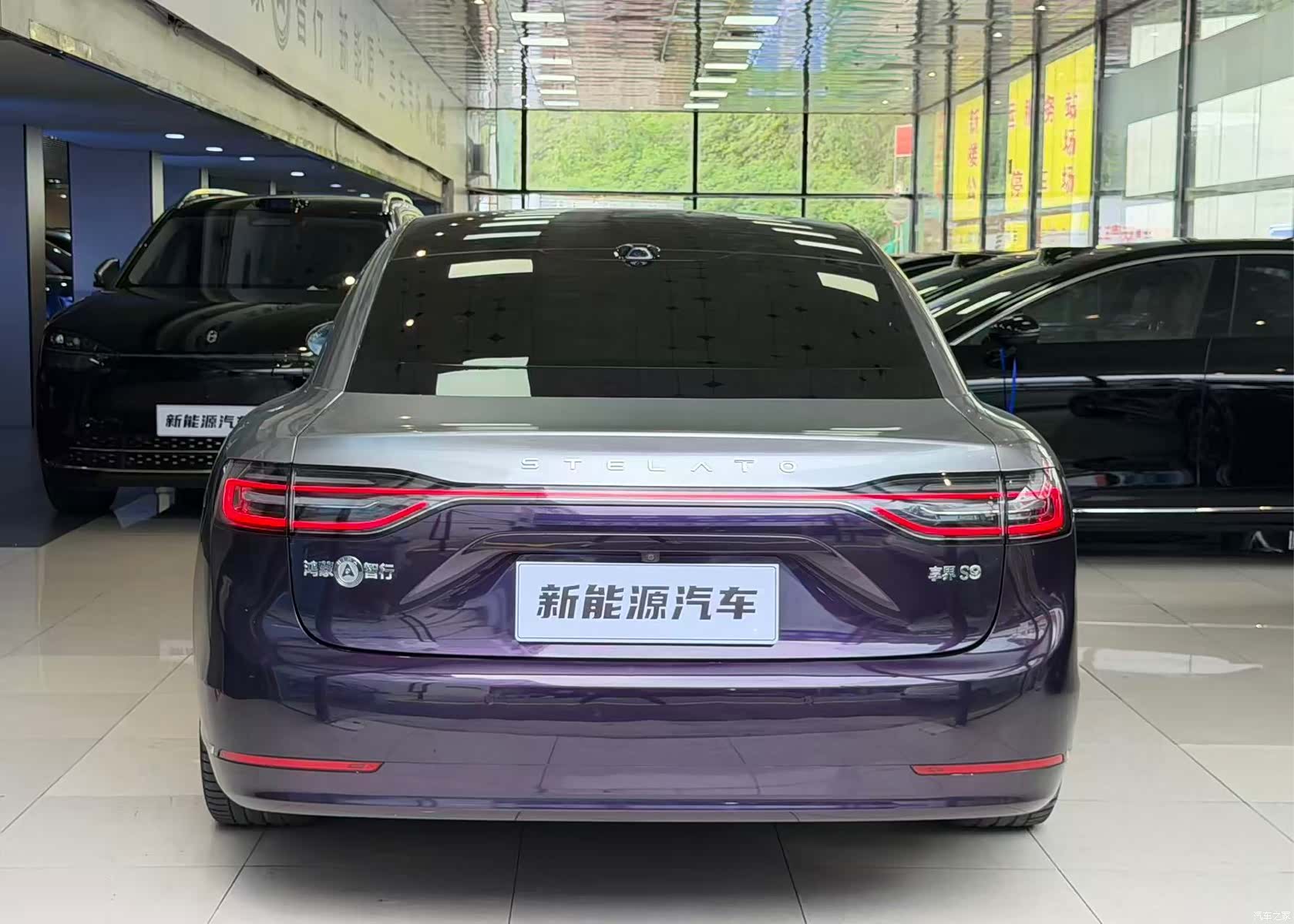 Stelato S9, 2024 4