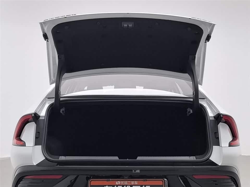 Wuling Wuling Starlight