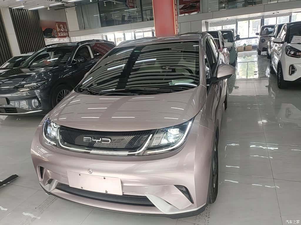 BYD Dolphin, 2023 3