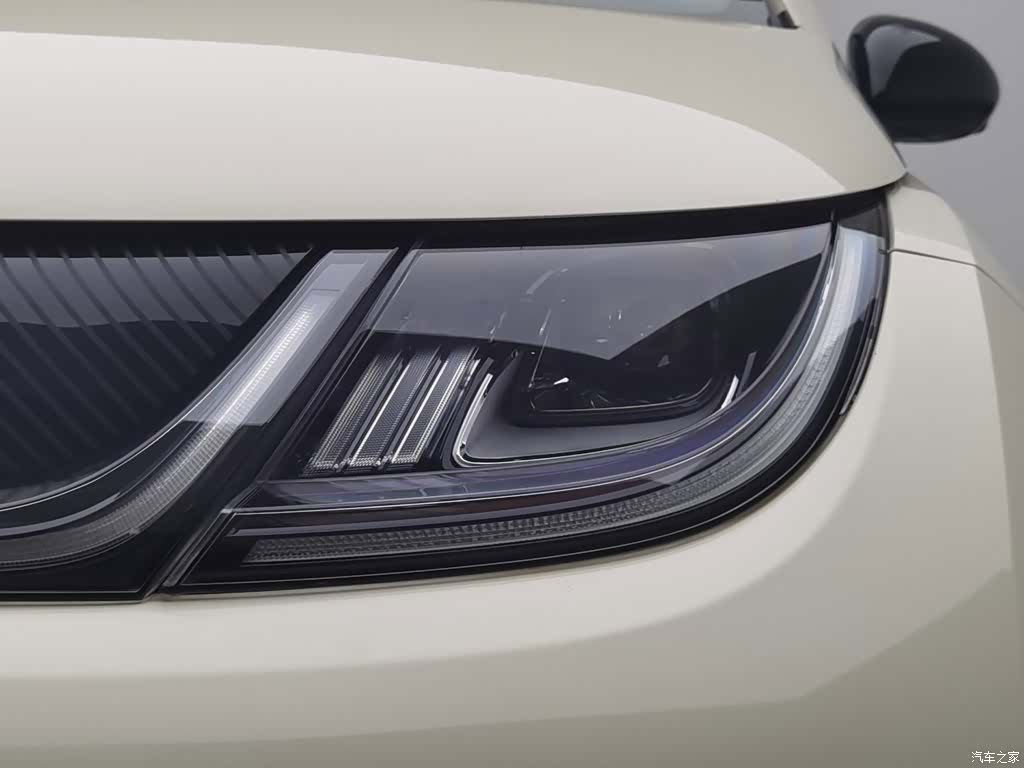 BYD Dolphin, 2024 7
