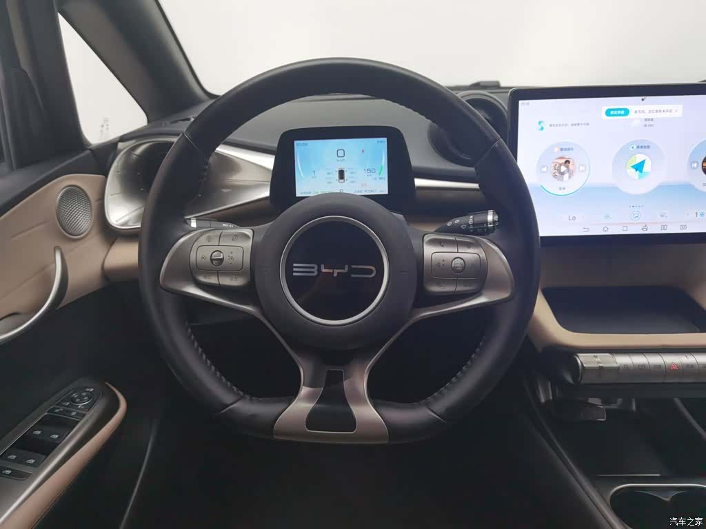 BYD Dolphin, 2024 11