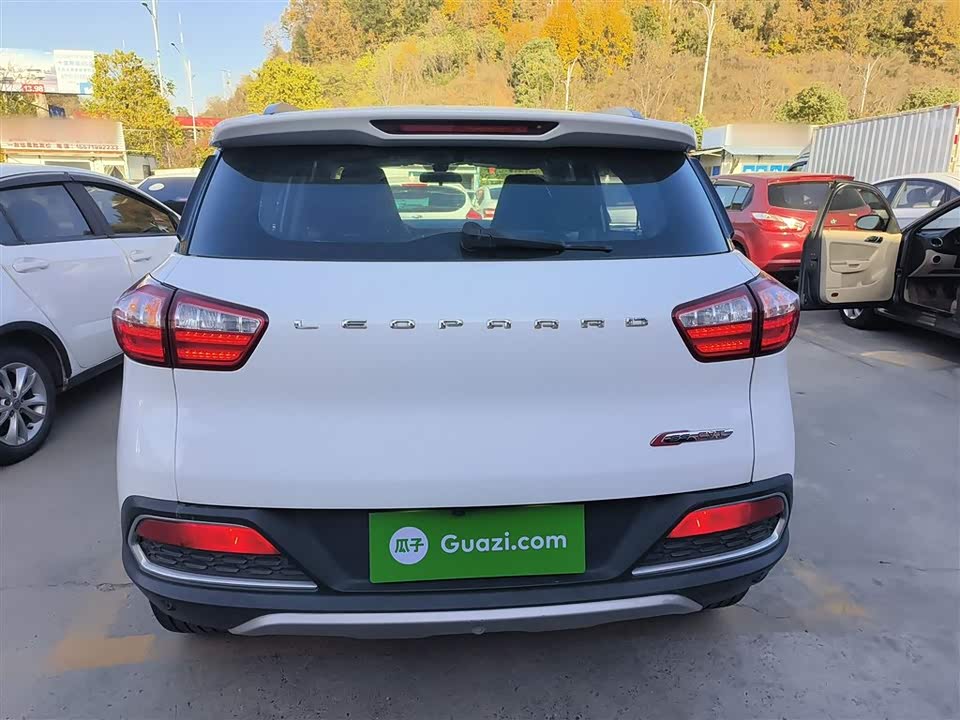 Leopaard Cheetah CS9