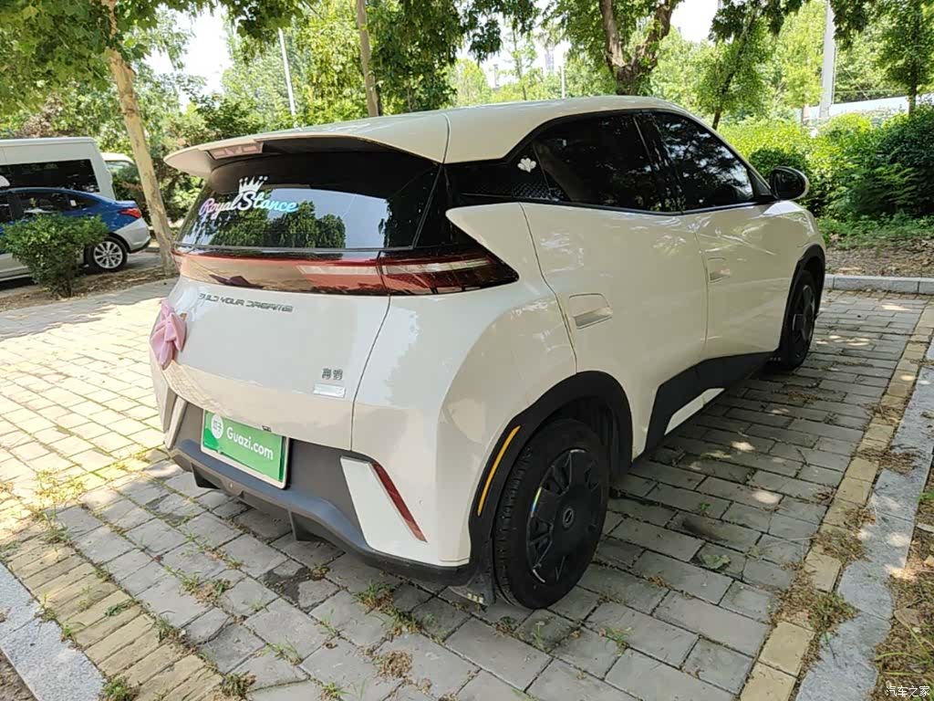 BYD Seagull, 2024 все фото