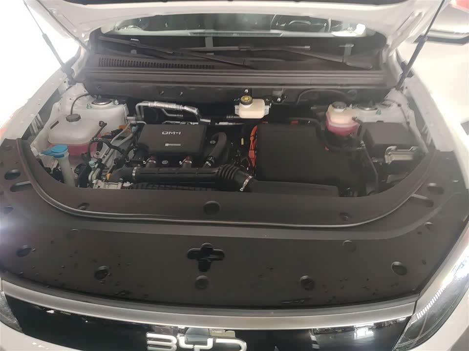 BYD Sea Lion 05 DM-i