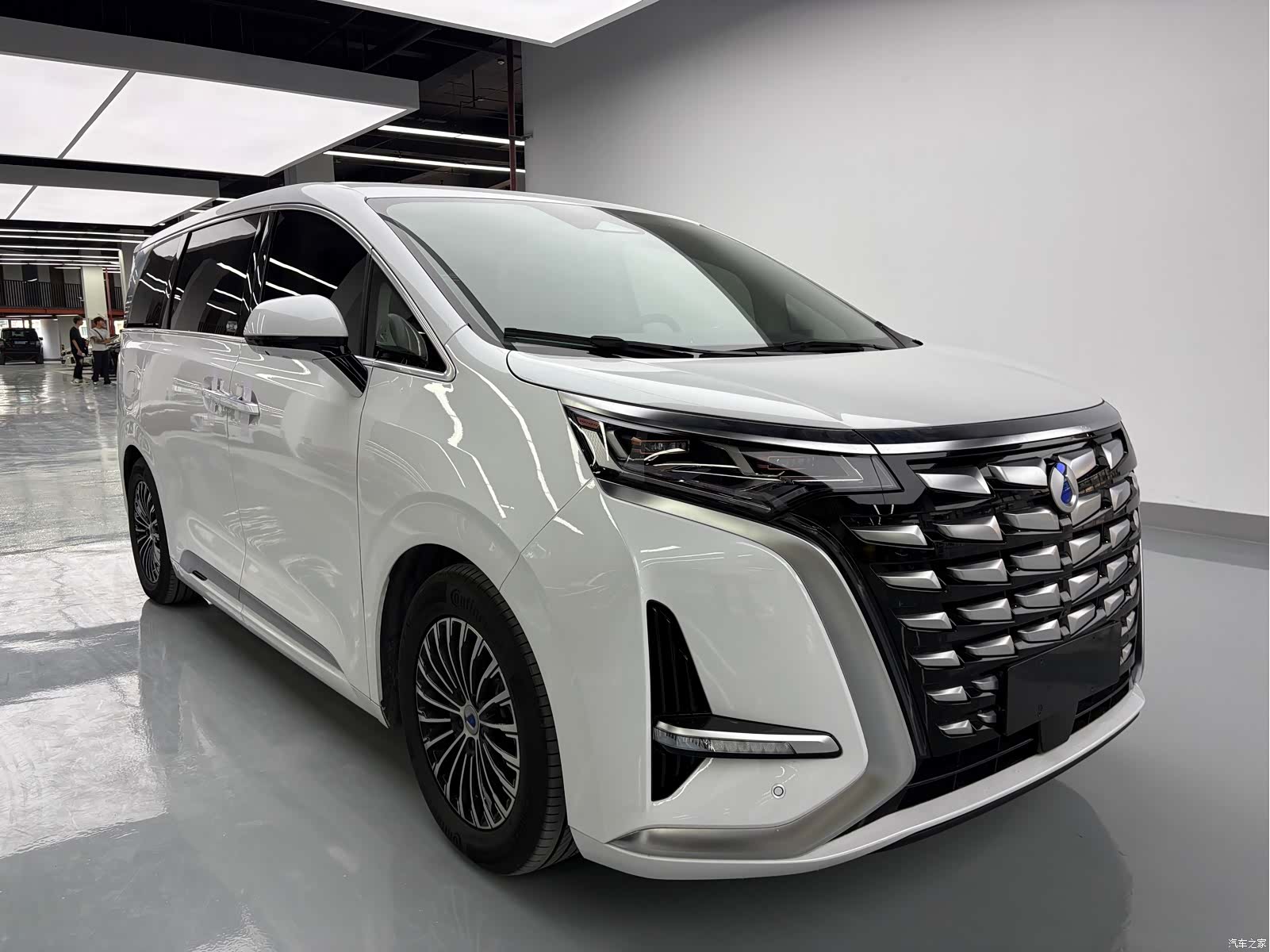 Denza D9, 2024 3