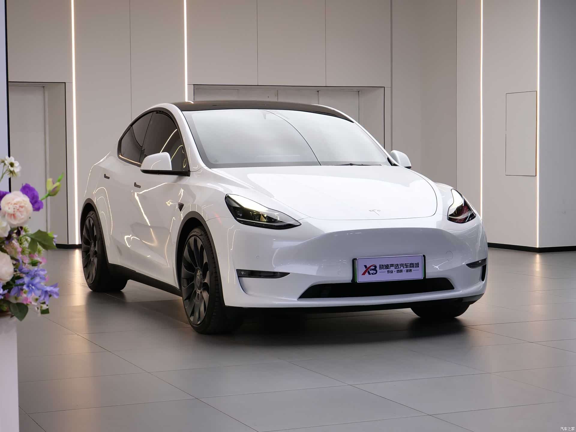 Tesla Model Y, 2021 3
