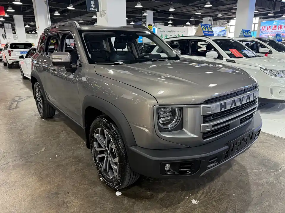 Haval Big dog