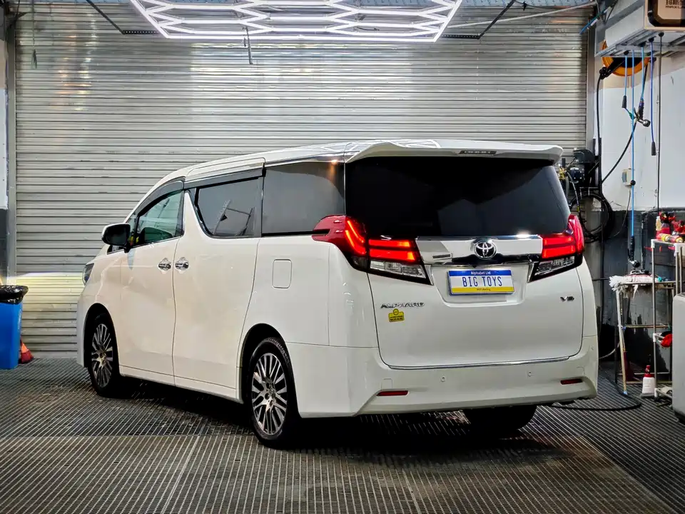 Toyota Elfa