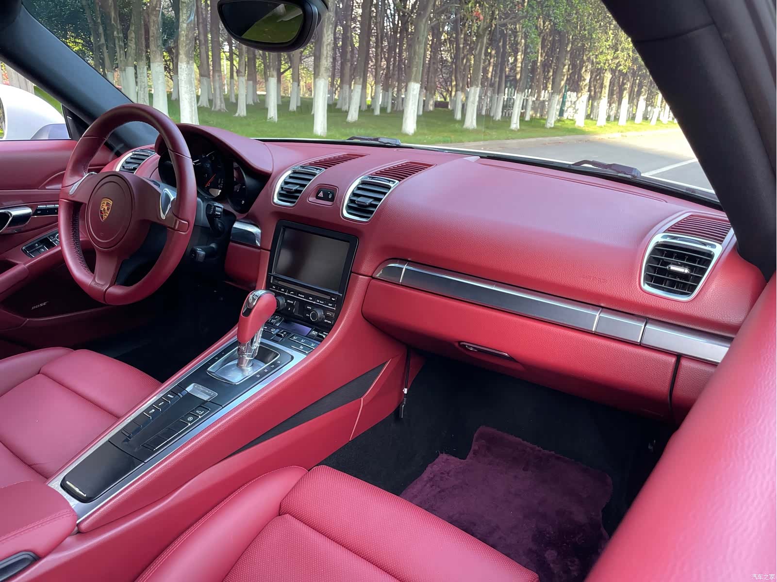 Porsche Cayman, 2015 19