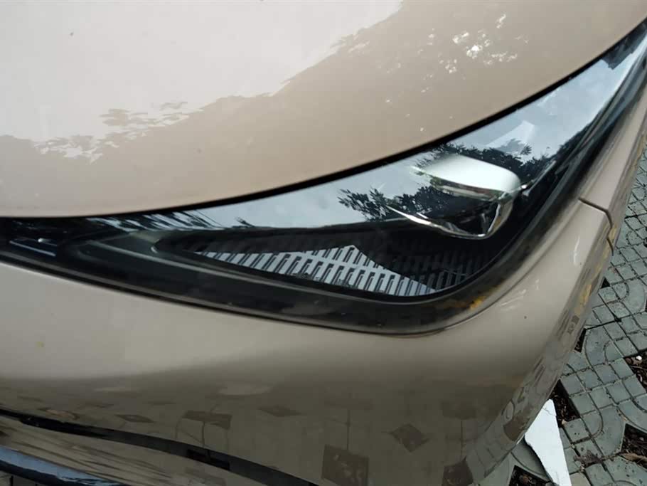 Cowin Picking up the moon