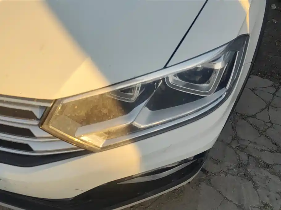 Volkswagen C-TREK Wei Collar