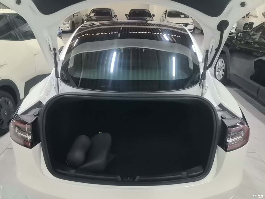 Tesla Model 3, 2020 19