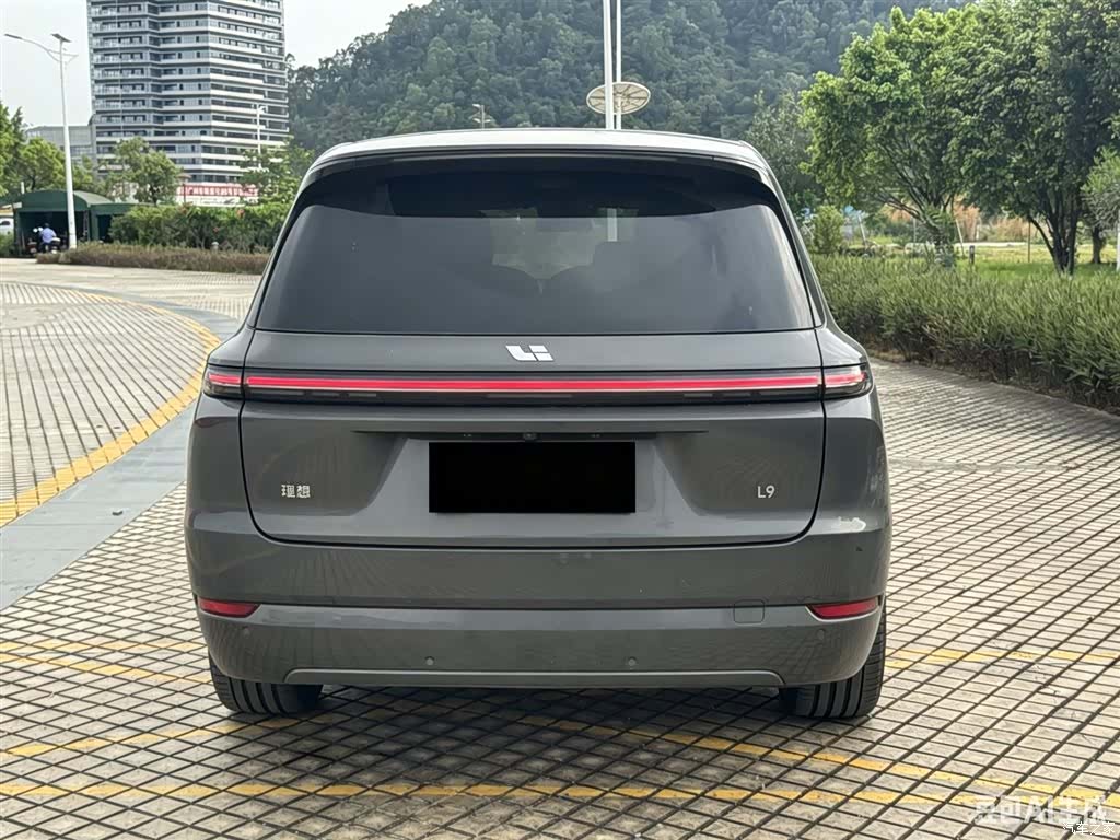 Li Auto L9, 2022 все фото