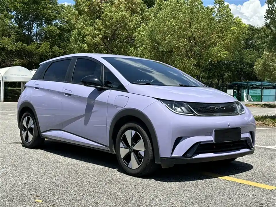 BYD dolphin