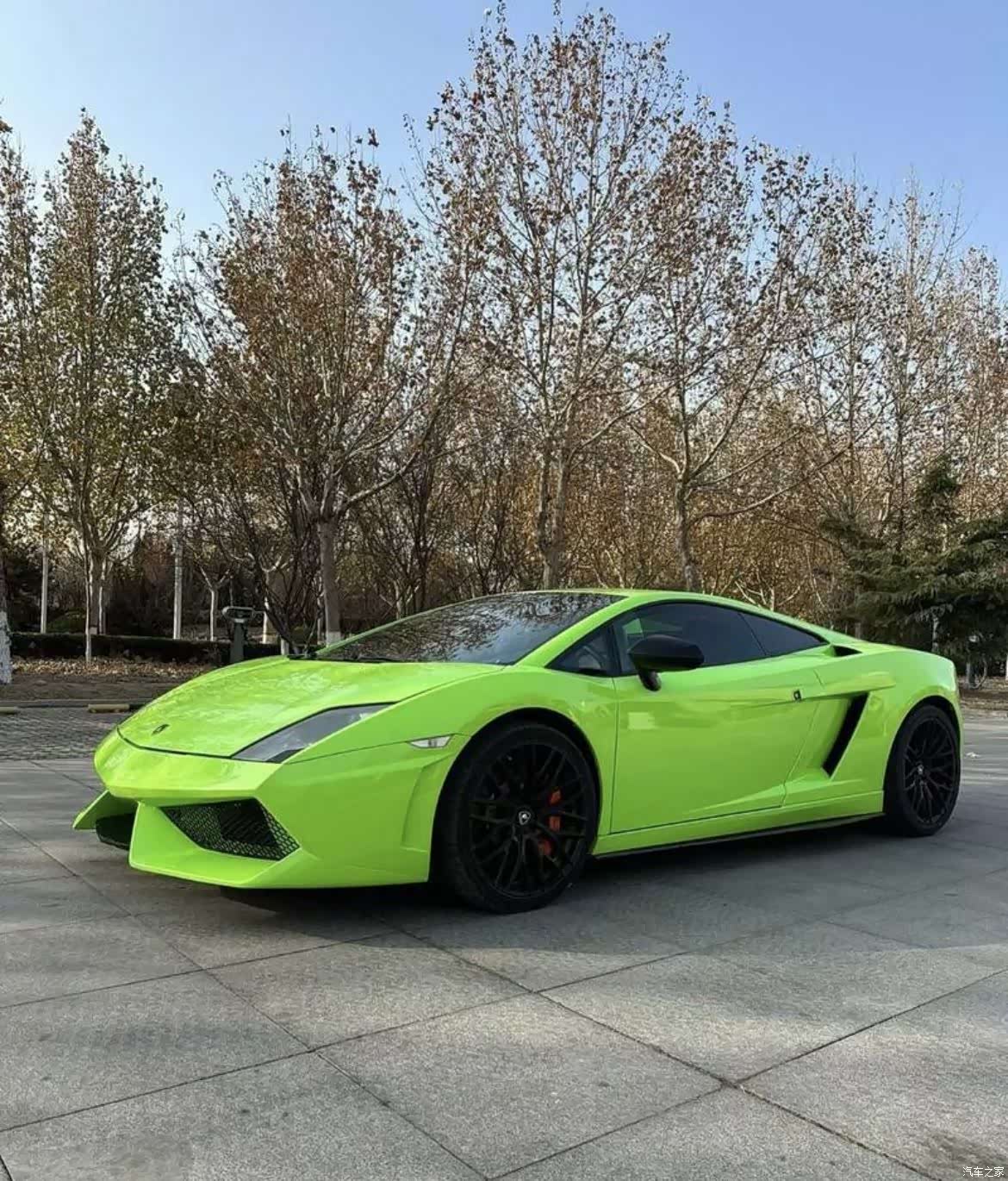 Lamborghini Gallardo