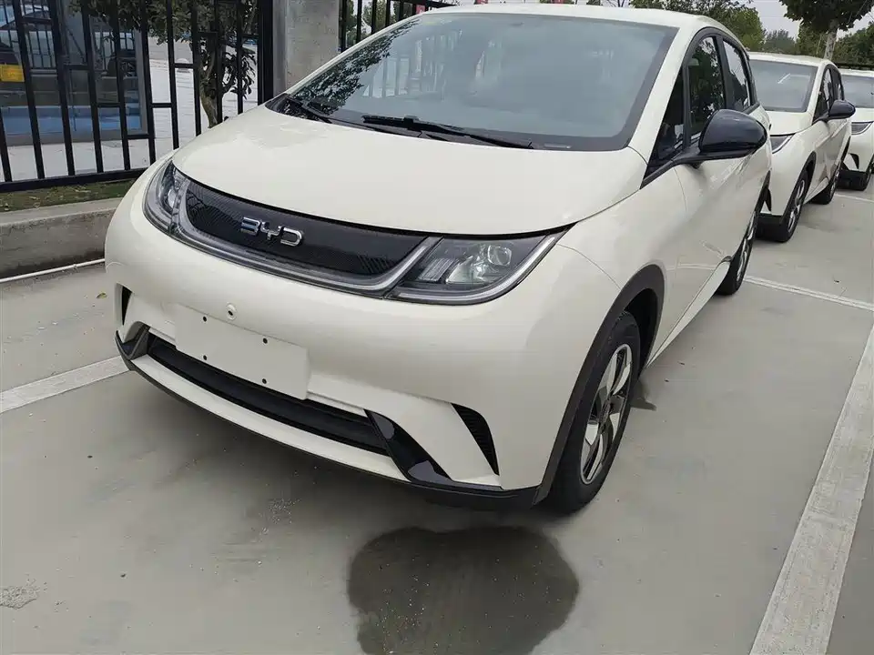 BYD dolphin