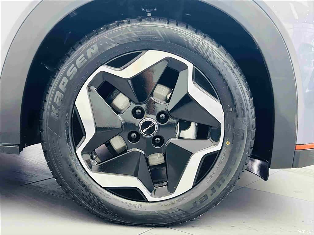 BYD Dolphin, 2022 10