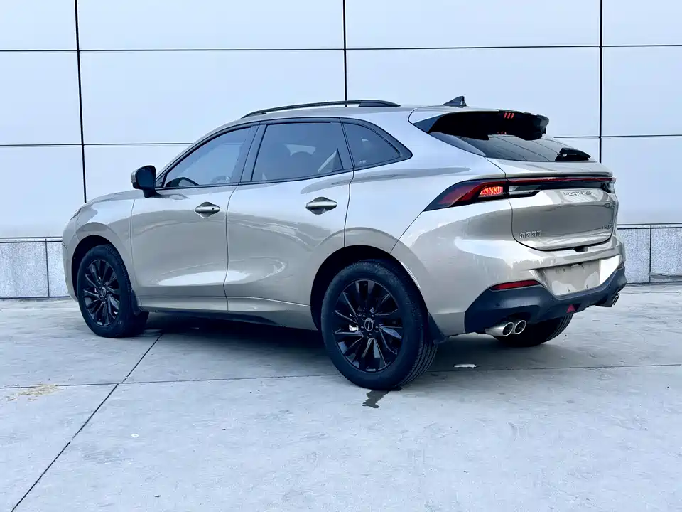 Forthing Popular T5 EVO