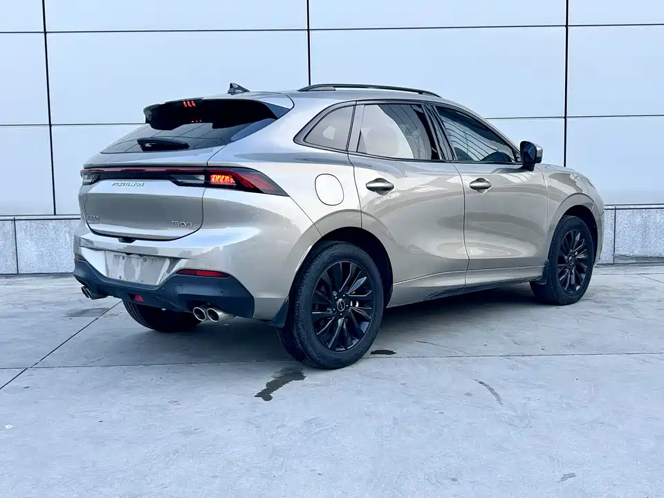 Forthing Popular T5 EVO