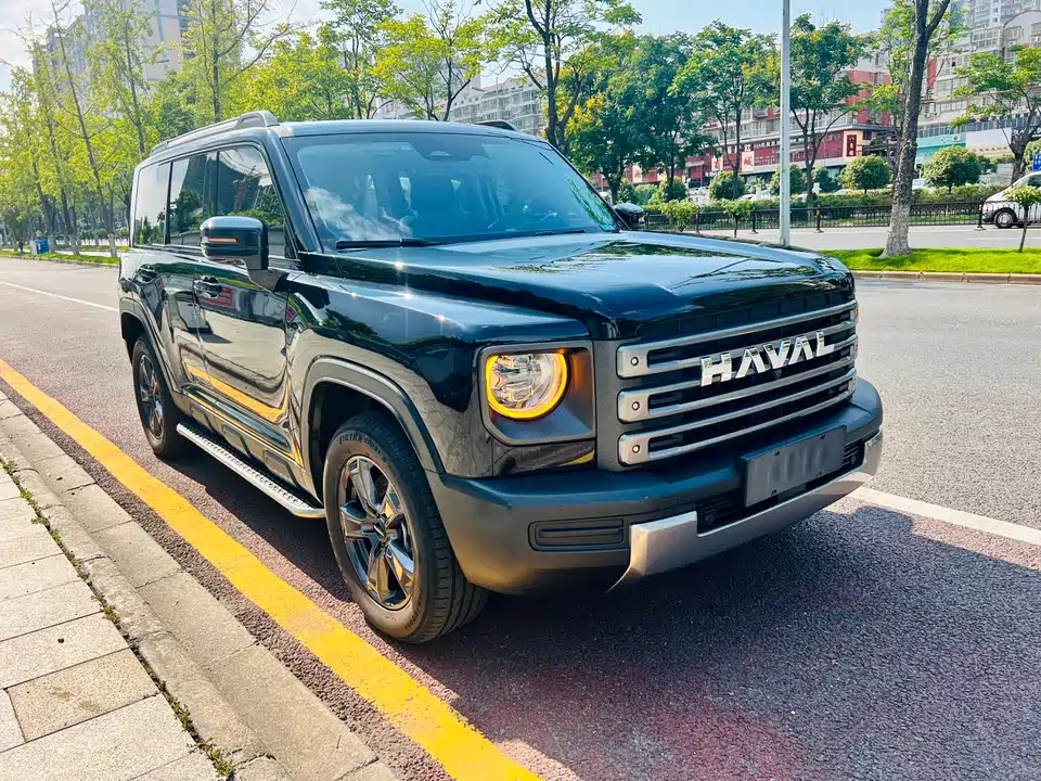 Haval Raptors