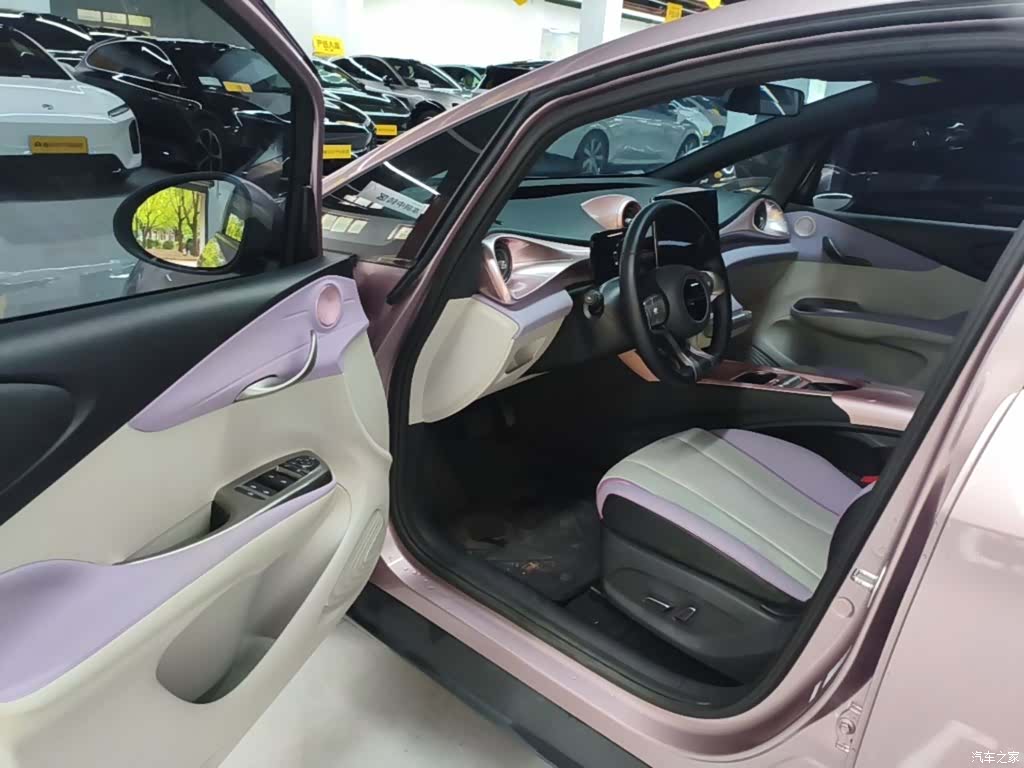 BYD Dolphin, 2024 12