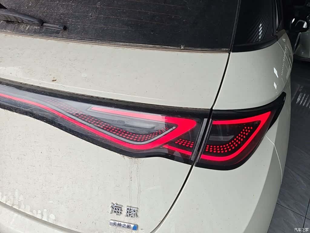 BYD Dolphin, 2025 8