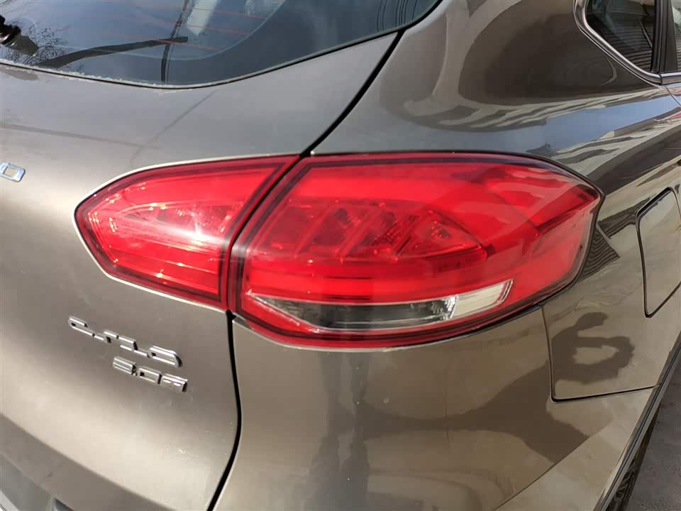 Leopaard Cheetah CS10