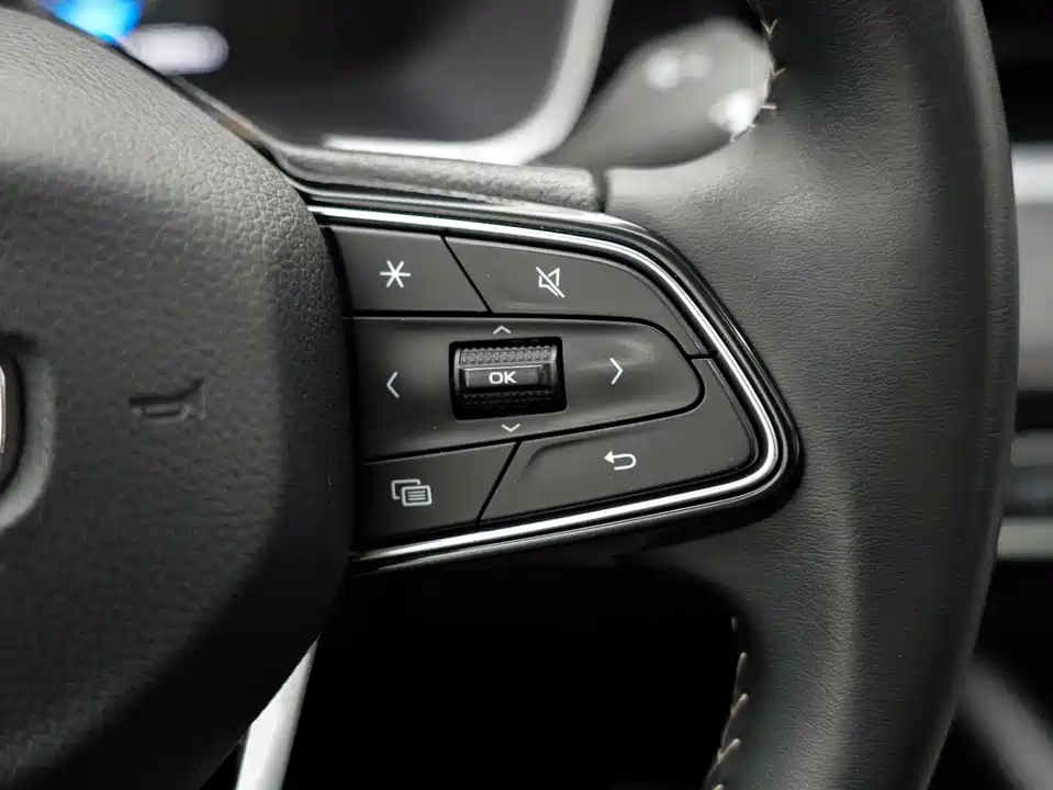 Geely Preface