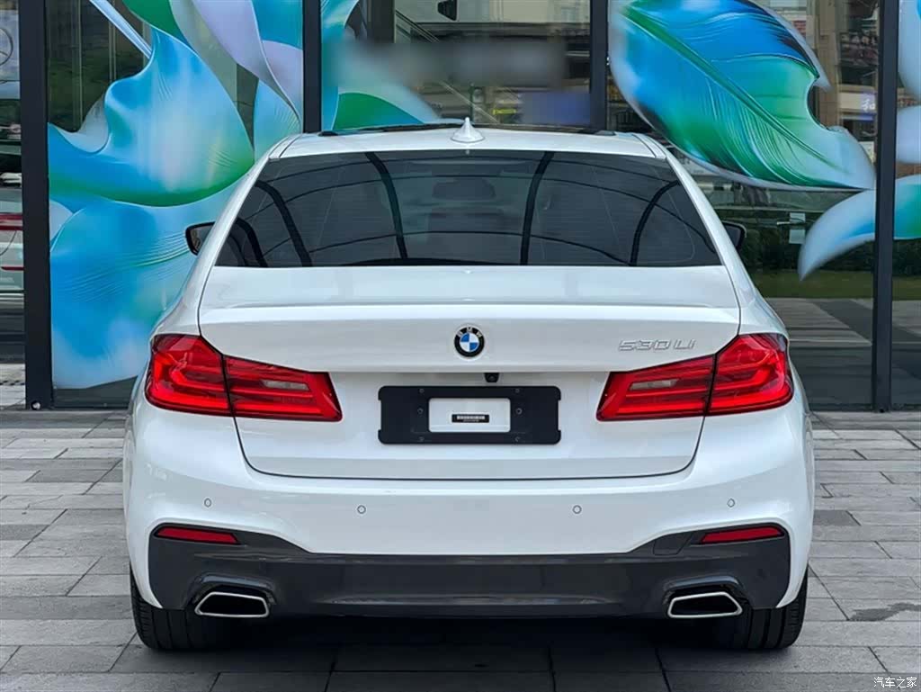 BMW 5 Series, 2018 13